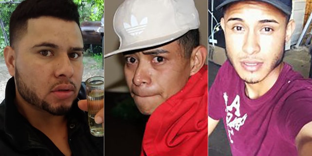 David Ramos Contreras, Rios Adiel and Arnuflo Ramos.