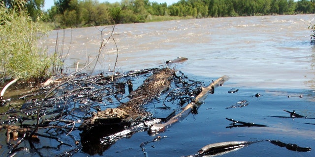 July 2,2011: Oil from a ruptured ExxonMobil pipeline is seen in the Yellowstone River and along its banks near Laurel, Mont.