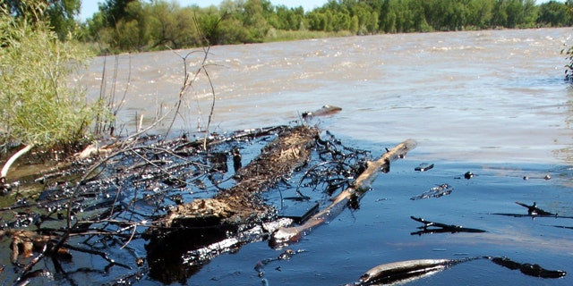 July 2,2011: Oil from a ruptured ExxonMobil pipeline is seen in the Yellowstone River and along its banks near Laurel, Mont.