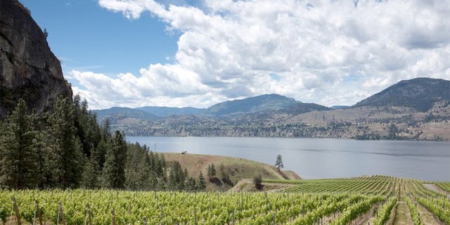 Some wineries don’t charge a tasting fee. And right now, there’s a favorable exchange rate for the U.S. dollar.