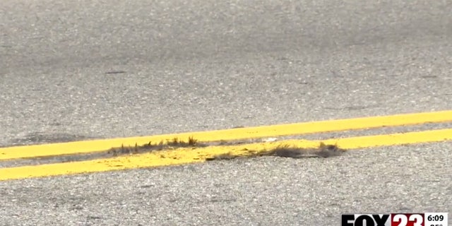 Residents in north Tulsa, Oklahoma told FOX 23 News work crews painted over roadkill on a city street.