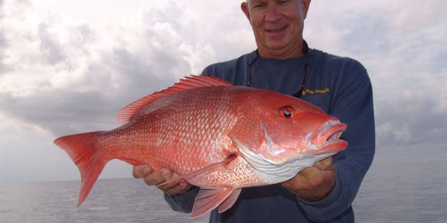 The 2017 red snapper season has been set to last just three days.