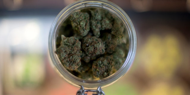 Sept. 11, 2014: A sample of marijuana is shown inside the dispensary at Collective Awakenings on in Portland, Ore.