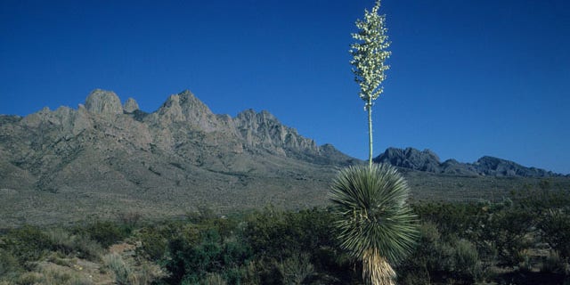 In a letter to Sen. Jeff Bingaman, U.S. Customs and Border Protection Commissioner Alan Bersin wrote that a revised Organ Mountains-Desert Peaks Wilderness Act, or S.B. 1689, will "significantly enhance" the flexibility of CBP officials to operate near the mountain range in southern New Mexico.
