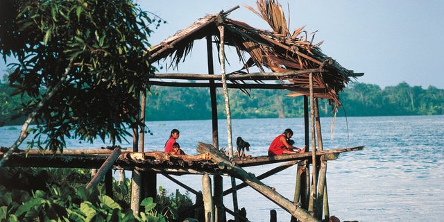 House on stilts of the Murako tribe, Orinoco delta, Delta Amacuro State, Venezuela.