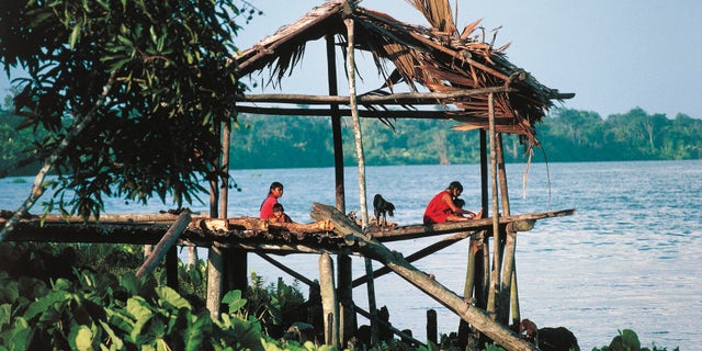 House on stilts of the Murako tribe, Orinoco delta, Delta Amacuro State, Venezuela.