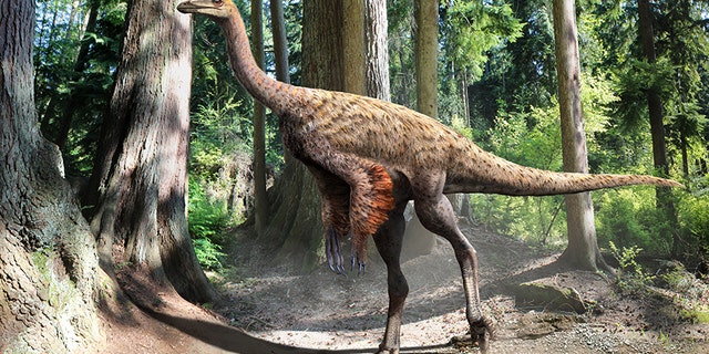 Illustration of Ornithomimus, by Julius Csotonyi, based on the findings of preserved tail feathers and soft tissue.