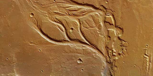 The central portion of Osuga Valles on Mars resembles features found in the arid deserts of Arizona, rather than those formed by emerging groundwater in Florida.