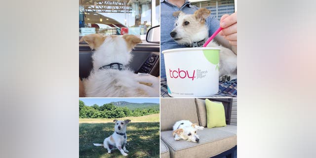 Otis is pictured during his "bucket list weekend"