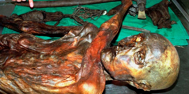 An undated handout file photo shows "Otzi", Italy's prehistoric iceman. "Otzi", Italy's prehistoric iceman, probably does not have any modern day descendants, according to a study published on October 30, 2008. Otzi's 5,300-year-old corpse was found frozen in the Tyrolean Alps in 1991. (REUTERS/Handout/Files)