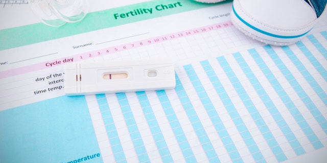 Pregnancy test on the fertility chart