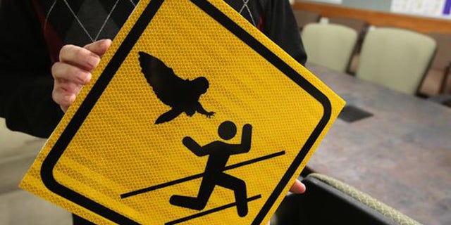 The owls of Oregon can be mean, but at least Salem parkgoers have been warned. (Courtesy: Statesman Journal)