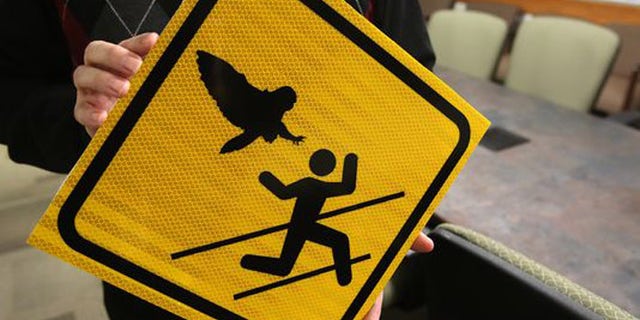The owls of Oregon can be mean, but at least Salem parkgoers have been warned. (Courtesy: Statesman Journal)