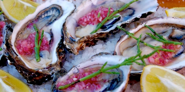 Pacific oysters at El Clavo, Valle de Guadalupe (AGringoInMexico.com)