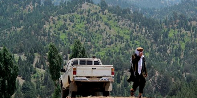FILE: Aug. 12, 2013: A Pakistani Taliban militant walks in Shawal in Pakistani tribal region of North Waziristan.