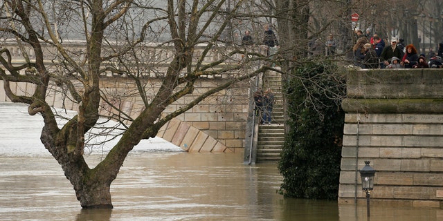 A street lamp and a tree are seen on the flooded banks of the River Seine in Paris, France, after days of almost non-stop rain, Jan. 27, 2018.