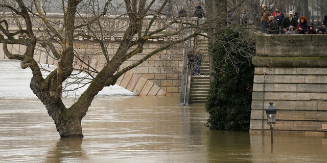 A street lamp and a tree are seen on the flooded banks of the River Seine in Paris, France, after days of almost non-stop rain, Jan. 27, 2018.