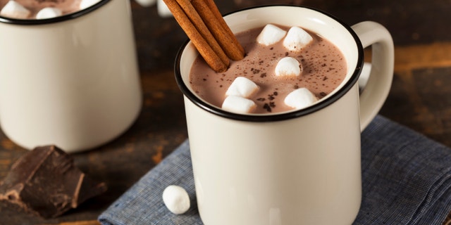 Gourmet Hot Chocolate Milk with Cinnamon and Marshmallows