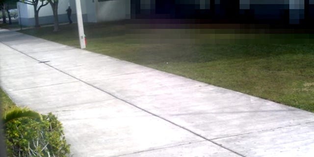 Former Deputy Scot Peterson is seen standing outside the building as gunman Nikolas Cruz opened fire inside.