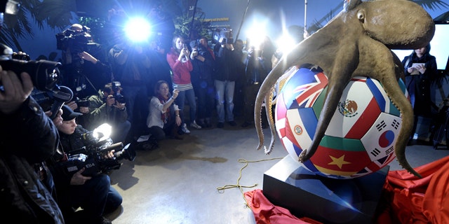 The two-meter-tall monument has been revealed for Paul the Octopus, the tentacled tipster who fascinated football fans by correctly predicting results at last year's World Cup.
