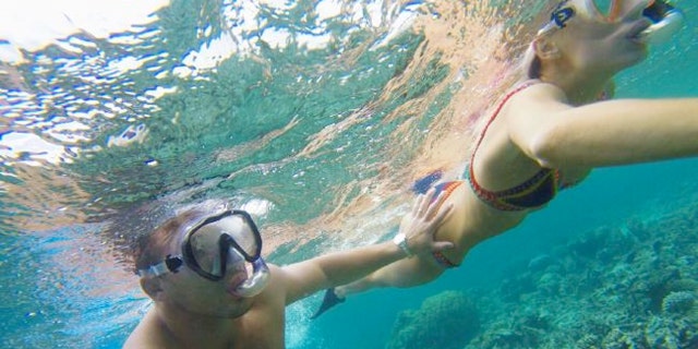 Snorkeling with a shark was one of the highlights for Phoebe and Sam.