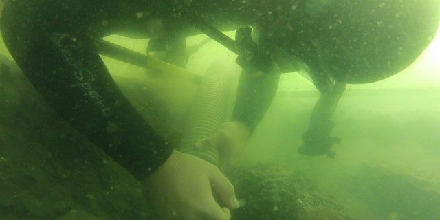 An archaeologist with the University of Western Florida excavates at the Emanuel Point II shipwreck site. (University of Western Florida)
