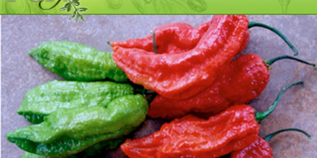 Bhut Jolokia Peppers