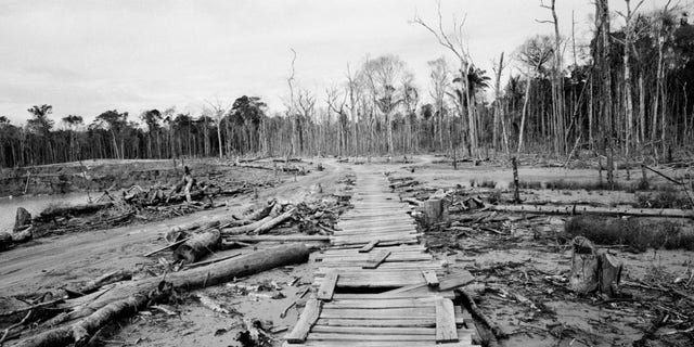 May 16, 2014: Wood slats serve as a makeshift walkway built by wildcat miners, at an abandoned mining camp, in La Pampa in Peru's Madre de Dios region.