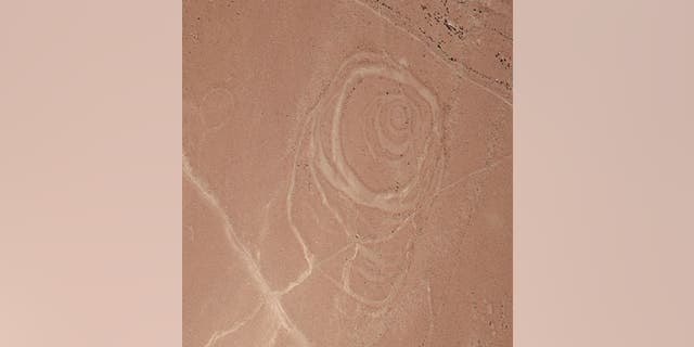 One of the complex circular geoglyphs the team mapped at Quilcapampa, in the Sihuas Valley in Peru, has at least six rings arranged in an irregular pattern. (Credit: Photo courtesy Justin Jennings)