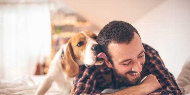 does owning a dog improve your health
