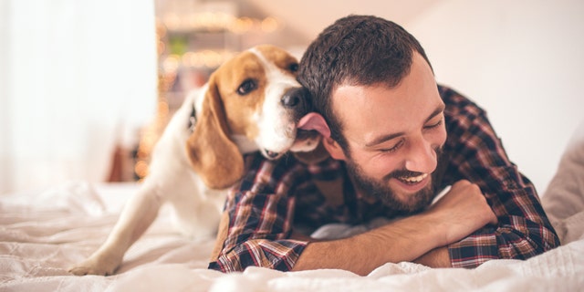 Owning a dog can help boost your health, some studies show.