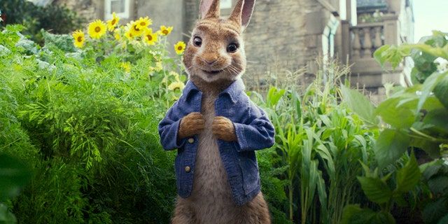 Parents are angry with Peter Rabbit after a scene shows him whip blackberries at someone with an blackberry allergy until the man falls on the floor choking.
