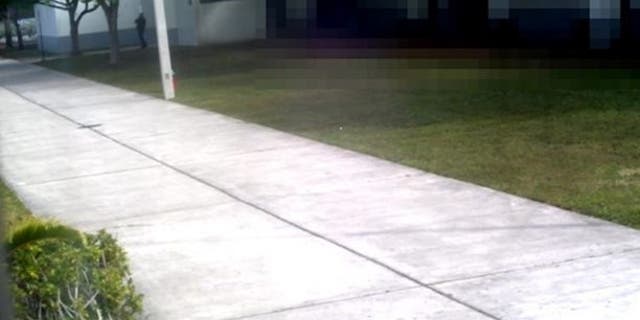 Former Deputy Scot Peterson is seen standing outside the building as gunman Nikolas Cruz opened fire inside.