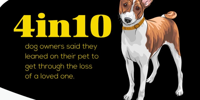 The study, conducted by Link AKC, suggests that dogs aid in the emotional health of their owners.