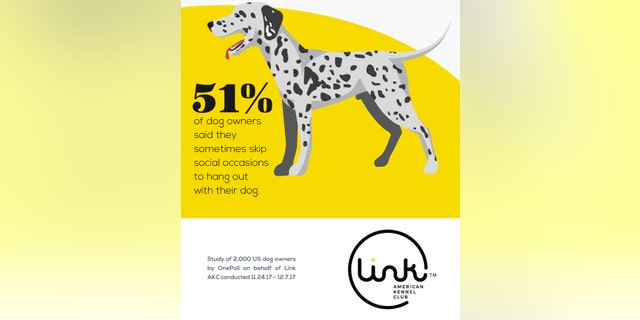 More than half of dog owners say they've skipped out on meeting friends or family to hang out with a dog.