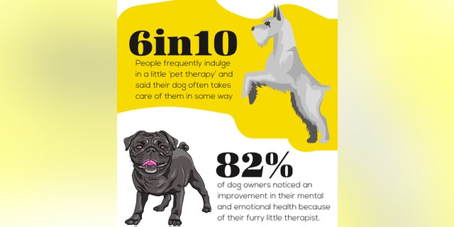 The majority of survey subjects said their pets contributed to their mental and emotional health.