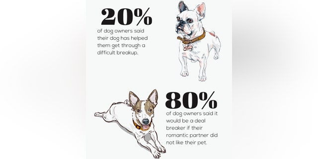 The study found that the majority of pet owners will break off a relationship if a romantic partner disapproved of their pet.