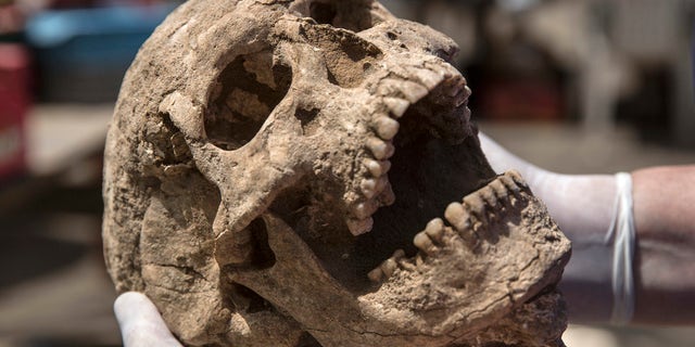 (Tsafrir Abayov/Leon Levy Expedition)