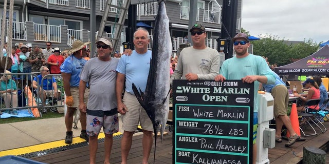 Angle Philip Heasley of Florida with winning 76.5-pound white marlin catch in the White Marlin Open. (White Marlin Open)