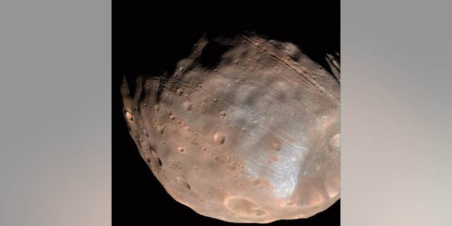 New modeling indicates that the grooves on Mars’ moon Phobos could be produced by tidal forces – the mutual gravitational pull of the planet and the moon. Initially, scientists had thought the grooves were created by the massive impact that made Stickney crater (lower right). (NASA/JPL-Caltech/University of Arizona)