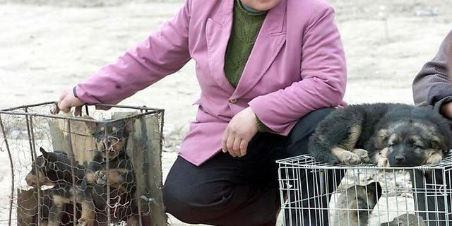 A vendor waits at a corner of a makeshift dog market in the suburb of Beijing with various mongrels in cages for sale to dog meat lovers on April 1 2001. A festival dedicated to dog meat in southern China has been targeted by protesting animal lovers, who have won a minor concession from local officials, an activist said