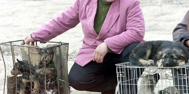 A vendor waits at a corner of a makeshift dog market in the suburb of Beijing with various mongrels in cages for sale to dog meat lovers on April 1 2001. A festival dedicated to dog meat in southern China has been targeted by protesting animal lovers, who have won a minor concession from local officials, an activist said