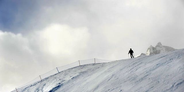 Max Gartner, Alpine Canada's chief executive, said Wednesday he will resign once a new leader is found, a change at the top coming only eight months before the 2014 Sochi Winter Olympics.