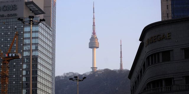 The N Seoul Tower is seen on the top of Nam mountain, on February 22, 2010. South Korea issued a cyber attack alert on Tuesday after hackers apparently penetrated a number of official websites, including the presidential Blue House, according to the science ministry.
