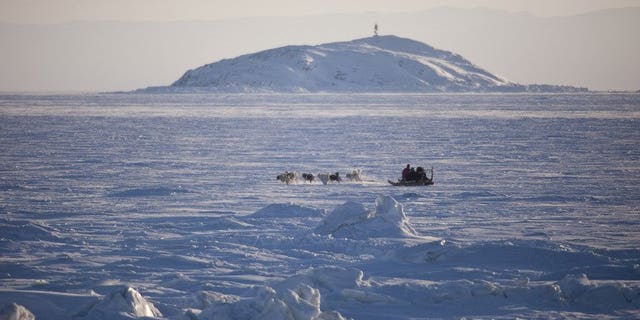A dogsled crosses a frozen bay in Nunavut, Canada, February 5, 2010. Twenty tourists became stranded on an Arctic ice floe when the ice they were walking on broke away from land in the remote province.