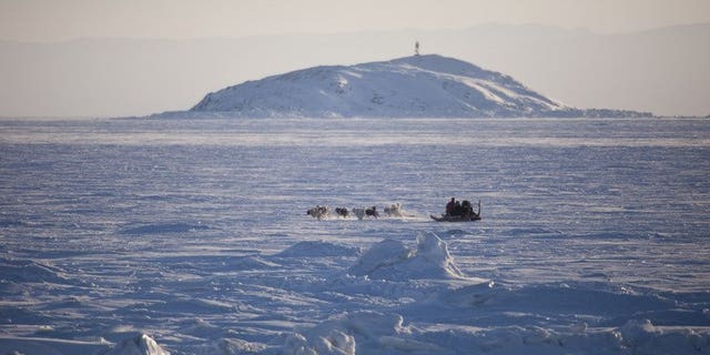 A dogsled crosses a frozen bay in Nunavut, Canada, February 5, 2010. Twenty tourists became stranded on an Arctic ice floe when the ice they were walking on broke away from land in the remote province.