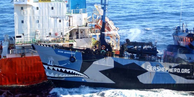 A Sea Shepherd ship (R) collides with a Japanese whaling fleet fuel tanker on February 25, 2013. Militant anti-whaling organisation Sea Shepherd Australia suffered a blow to its fundraising hopes when a court rejected a bid for donations to be tax-deductible.