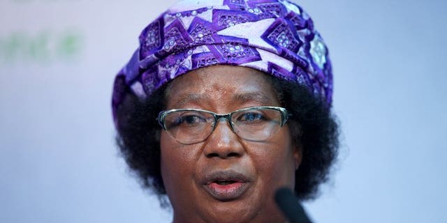 President of Malawi Joyce Banda, pictured in central London on June 8, 2013, gave a candid glimpse into the stresses of office, admitting that thinking of the plethora of problems including widespread poverty could drive her mad.