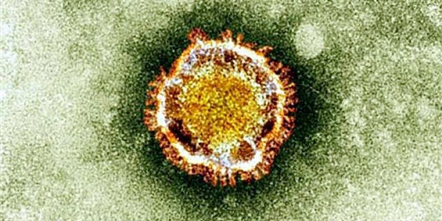 This undated handout picture courtesy of the British Health Protection Agency shows the Coronavirus seen under an electron miscroscope. Health authorities in the UAE have announced that an 82-year-old man has been diagnosed with the MERS coronavirus infection, the first case to be recorded in the Gulf state.