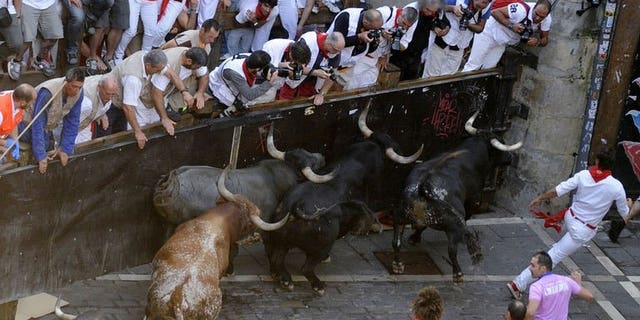 Participants run in front of bulls during the last bull run of the San Fermin Festival in Pamplona, northern Spain, on July 14, 2013. Spain's Pamplona bull-running fiesta has wrapped up with another five seriously injured, including an Australian woman who was gored, after nine days that landed a total of 50 daredevils in hospital.
